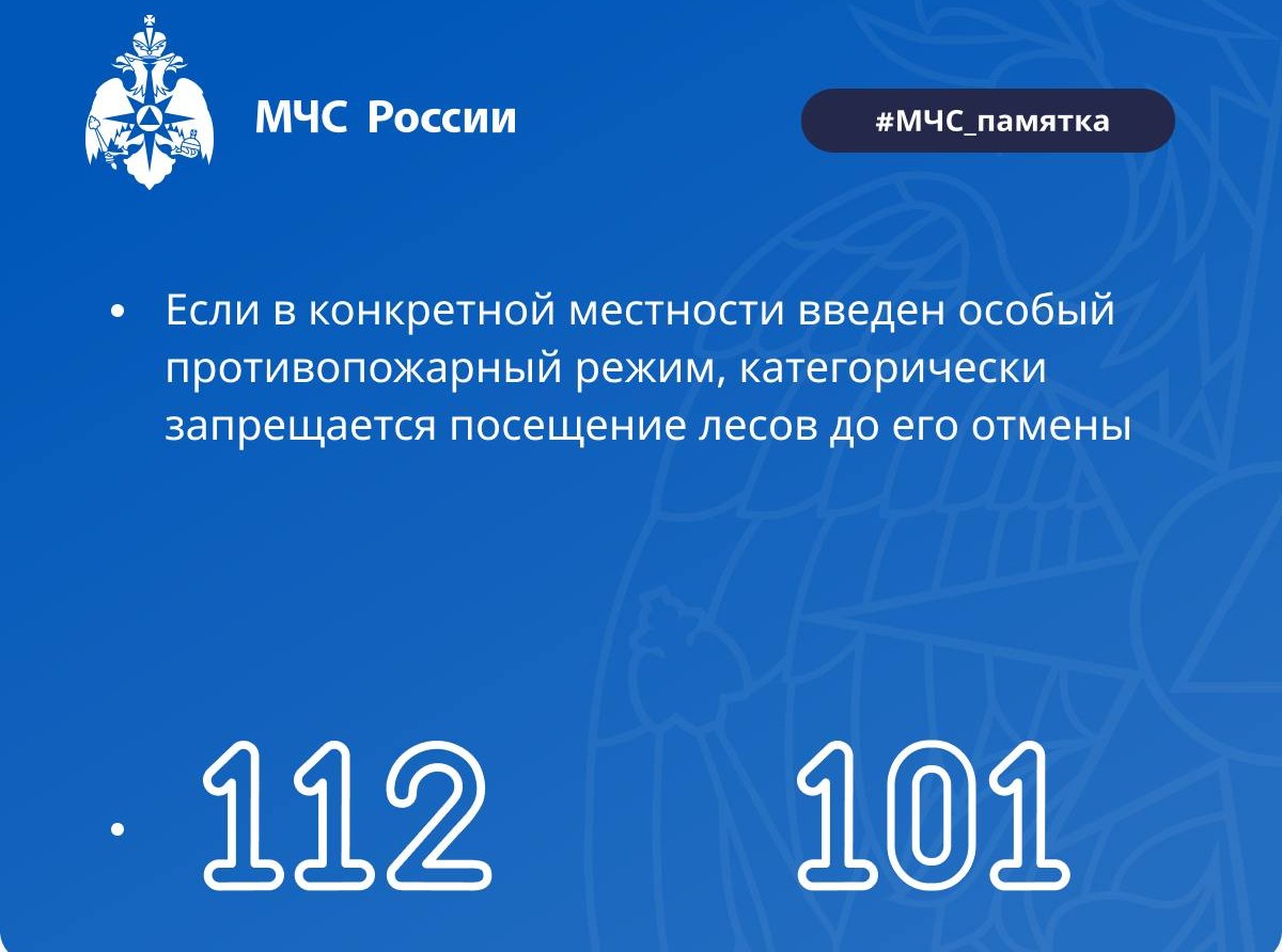 телефоны для связи, памятка МЧС, запрещается посещать леса